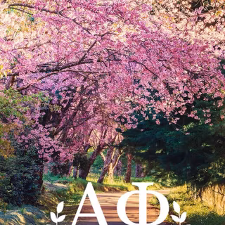 Alpha Girl wallpaper