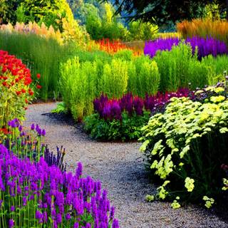 Flower park wallpaper