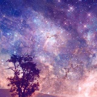 Beautiful phone photos wallpaper