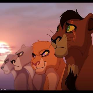 Kimba The White Lion wallpaper