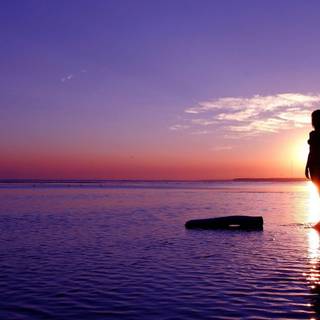 Under the sunset wallpaper