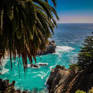 McWay Cove wallpaper