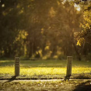 Photography park HD wallpaper