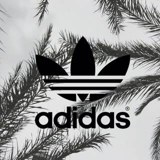 Grunge Tumblr for laptop wallpaper