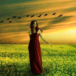 Girl on the field wallpaper