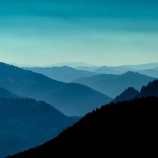 Chill vibes wallpaper