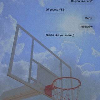 Basketball aesthetic wallpaper