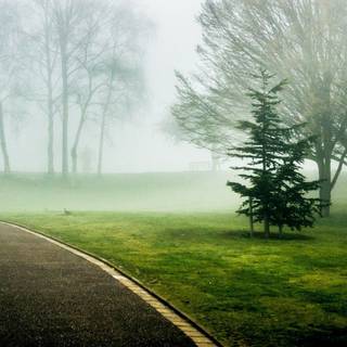 Green park HD wallpaper