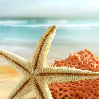 HD beach iPhone wallpaper