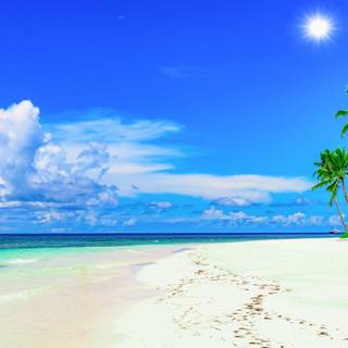 Beach Ultra HD wallpaper