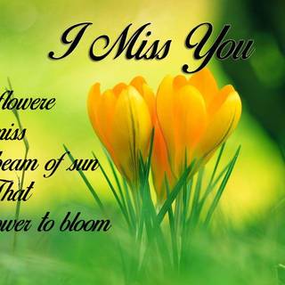 Miss You, My Love wallpaper