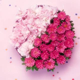 Rose arrangement wallpaper