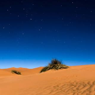 Earth desert HD wallpaper