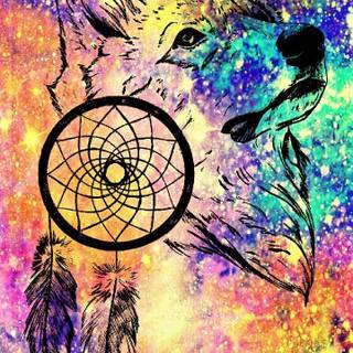 Rainbow wolf wallpaper