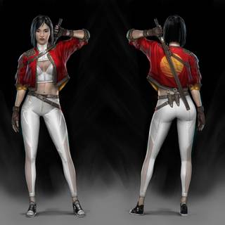 Rogue Company HD wallpaper