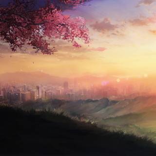 Anime sunset wallpaper