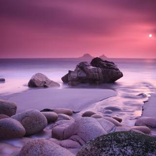 Pink beach wallpaper