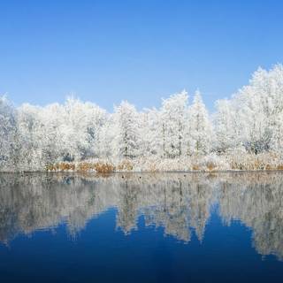 Cool 7680x2400 wallpaper