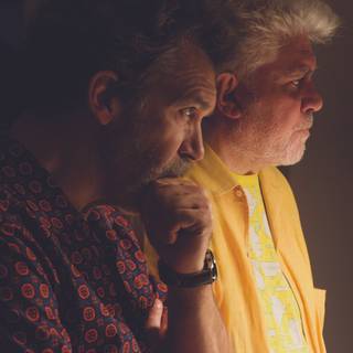 Pain and Glory wallpaper