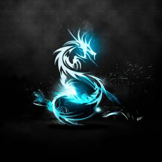 Anime dragons wallpaper