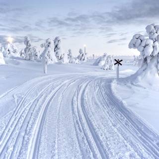 Lapland wallpaper