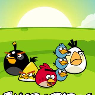 Angry Bird HD mobile wallpaper