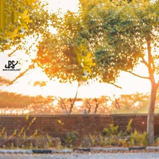 NSB pictures wallpaper