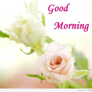Good morning pic wallpaper
