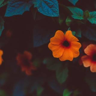 Turquoise aesthetic wallpaper