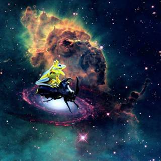 Frigokinesis wallpaper