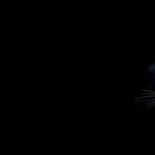 Jaguar laptop wallpaper