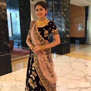 Sayyeshaa Saigal wallpaper