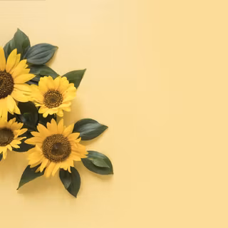 Yellow sunflowers wallpaper