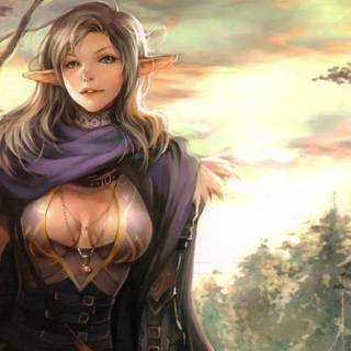 Fantasy elf wallpaper