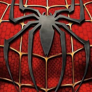 Spider Man web wallpaper