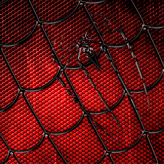 Spider Man web wallpaper