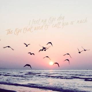 Seventeen Kpop wallpaper