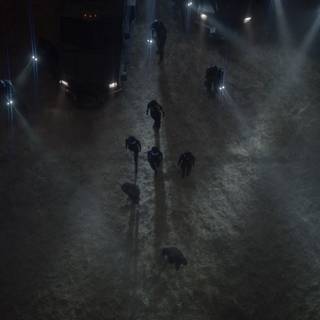 Cinematography wallpaper