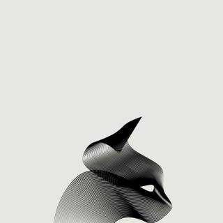 Black cat minimalist wallpaper