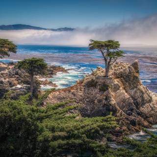 Monterey wallpaper