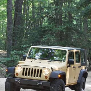 Jeep HD mobile wallpaper