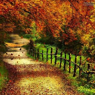 Autumn family wallpaper