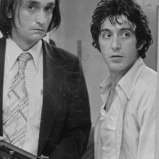 Dog Day Afternoon wallpaper