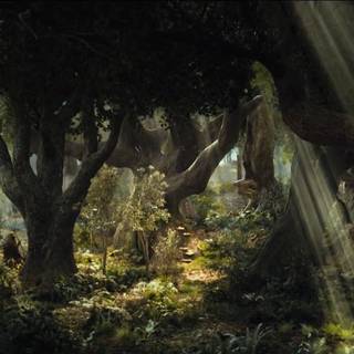 Mirkwood wallpaper