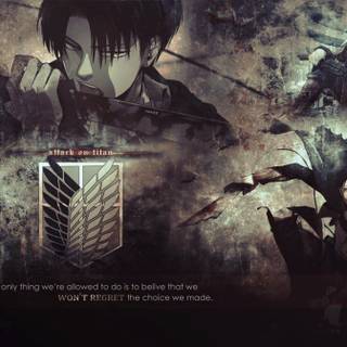 Survey Corps wallpaper