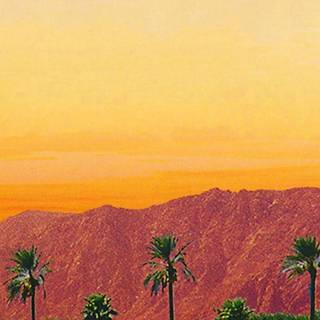 Android 2020 wallpaper