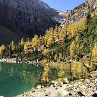 Moraine Lake South Channel wallpaper