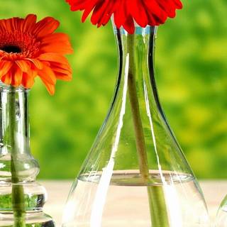 Bright for mobile wallpaper