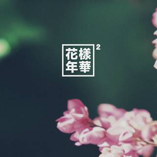 Aesthetic laptop Jungkook wallpaper