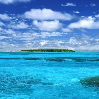 Computer display wallpaper